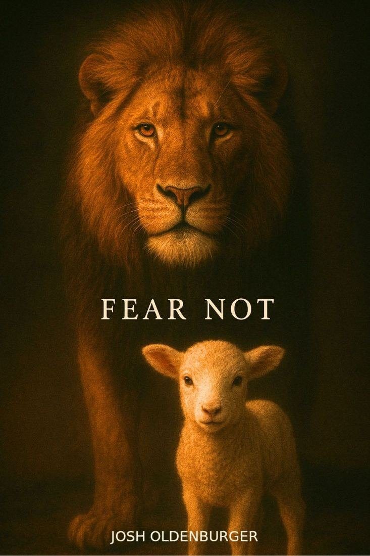 Fear Not book cover